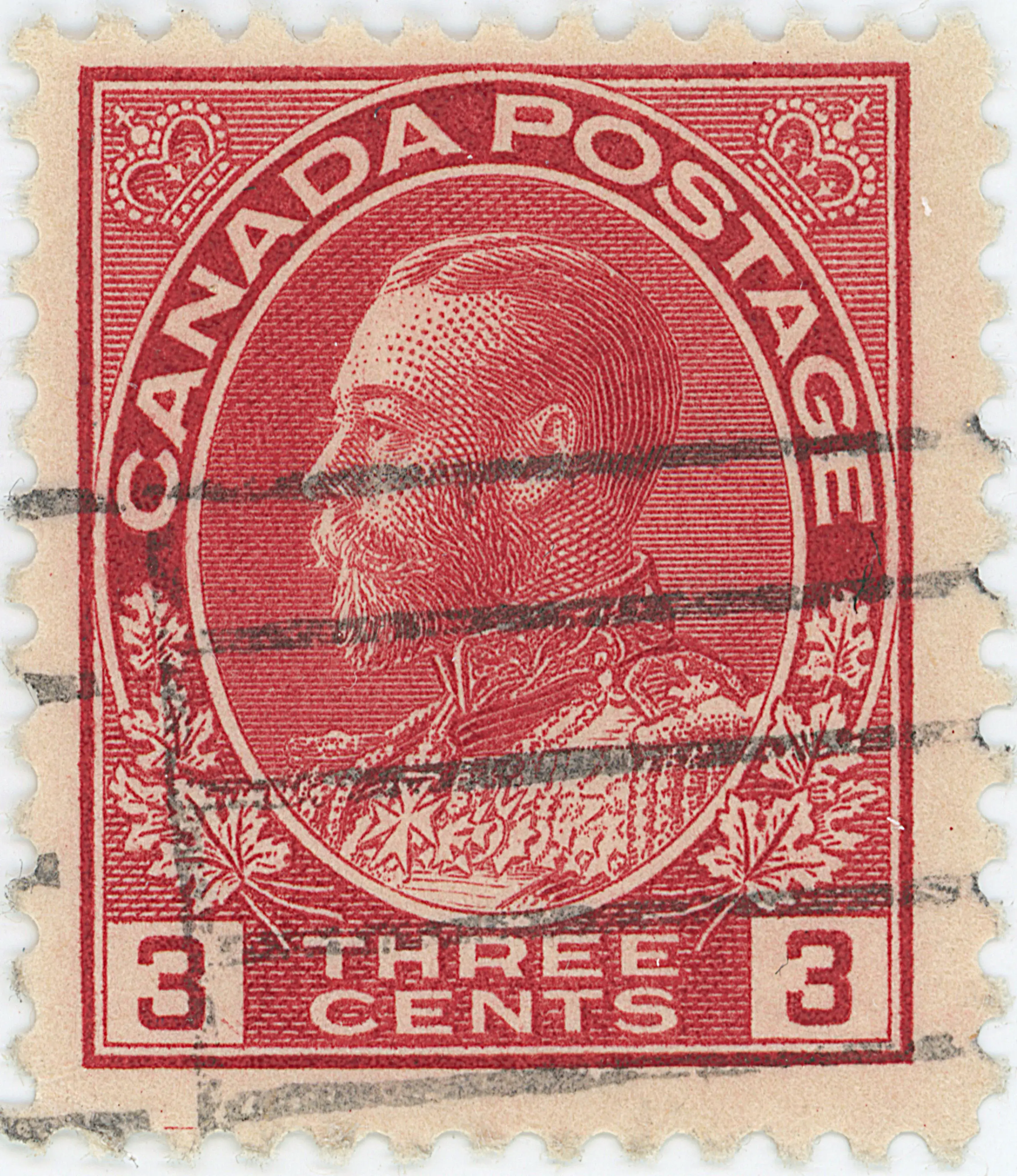 3¢C TLD 45L c.webp